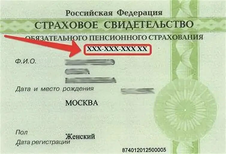 Страховое свидетельство через госуслуги