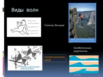 Виды убежишь