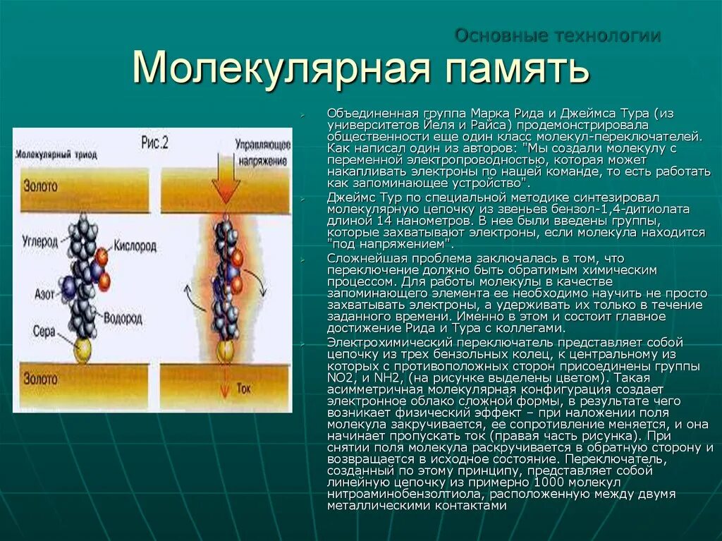 Молекулярное время