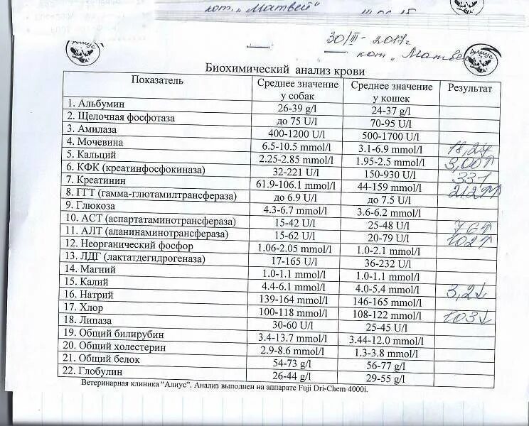 Какие анализы делают. Норма лабораторных показателей крови биохимический. Оформление общего клинического и биохимического анализов крови. Биохимия крови расшифровка анализа в поликлинике. Норма анализов биохимии крови у мужчин.