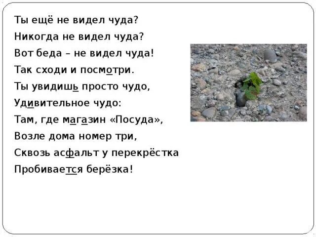 Стихотворение р сефа чудо. Стих чудо. Вот беда не видел чуда так сходи и посмотри. Стих никогда не видел чуда. Стих чудо ты еще не видел чуда.