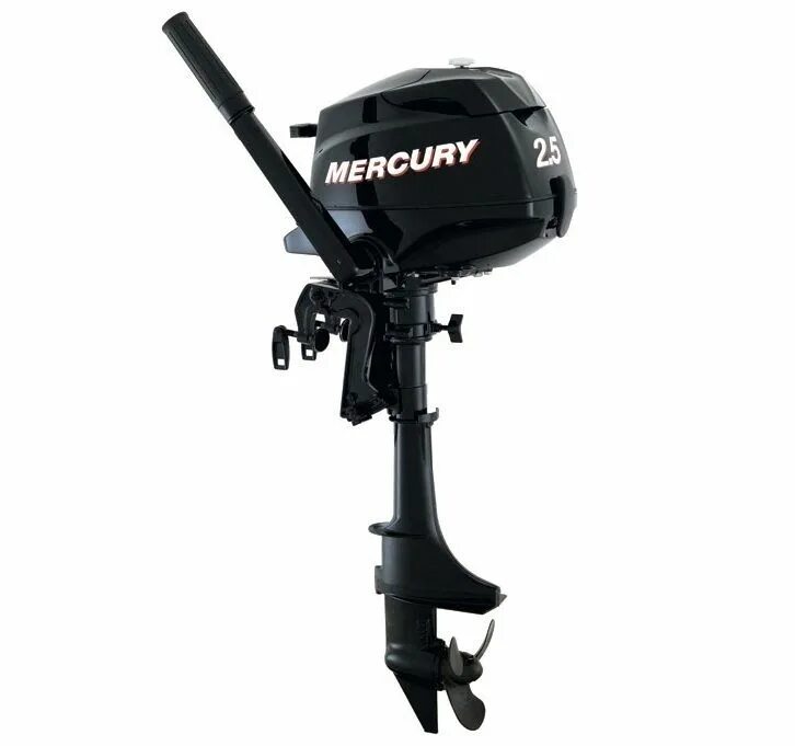 Лодки моторы в белоруссии. Лодка беркут s twinconsole. Лодочный мотор сельва 6. 8. Лодки моторы в белоруссии.