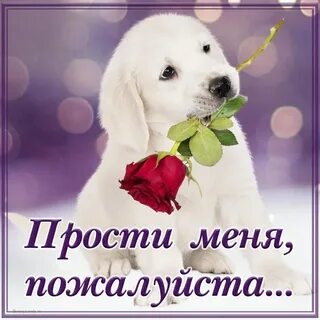 Извини пожалуйста девушка