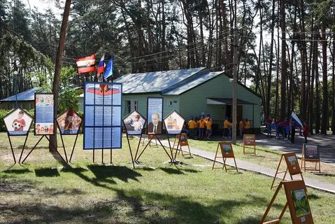 Лагерь орленок курск отзывы