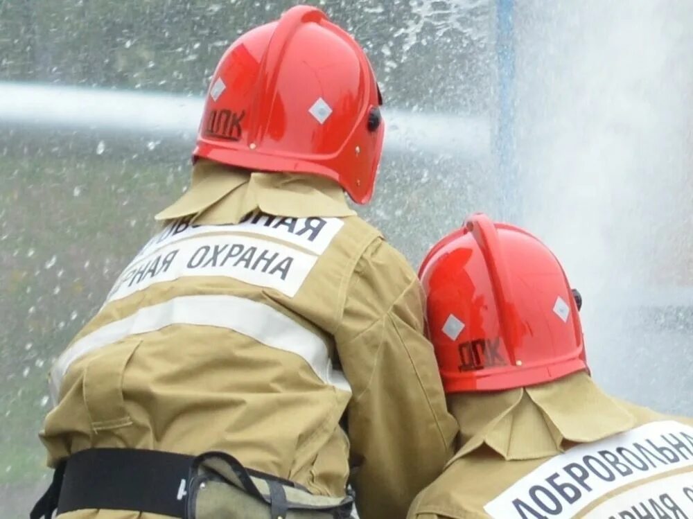 Фз о добровольных пожарных