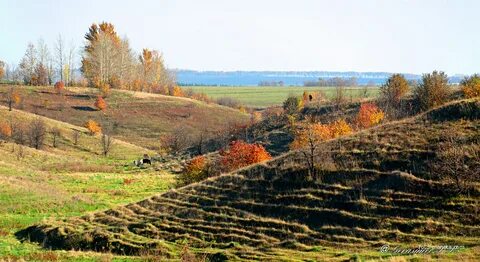 Поляна липецкая область
