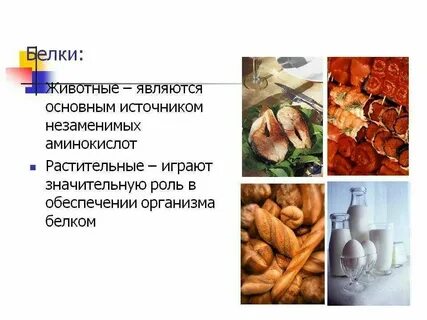 Растительным белком является