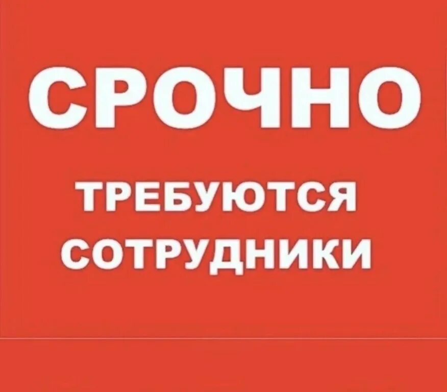 Срочно свежие работа ищу. Срочно свежие работа ищу. Срочно требуется сотрудник. Срочно свежие работа ищу. Требуется заведующий производством и повара.