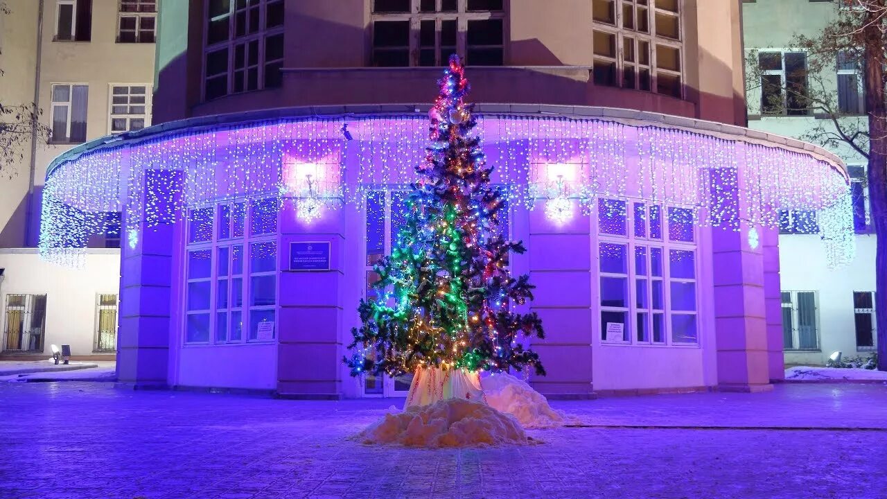 Луганск 2022 центр. Центральная ёлка в луганске. Пешеход на дороге. Центральная ёлка в луганске. Елка луганск.