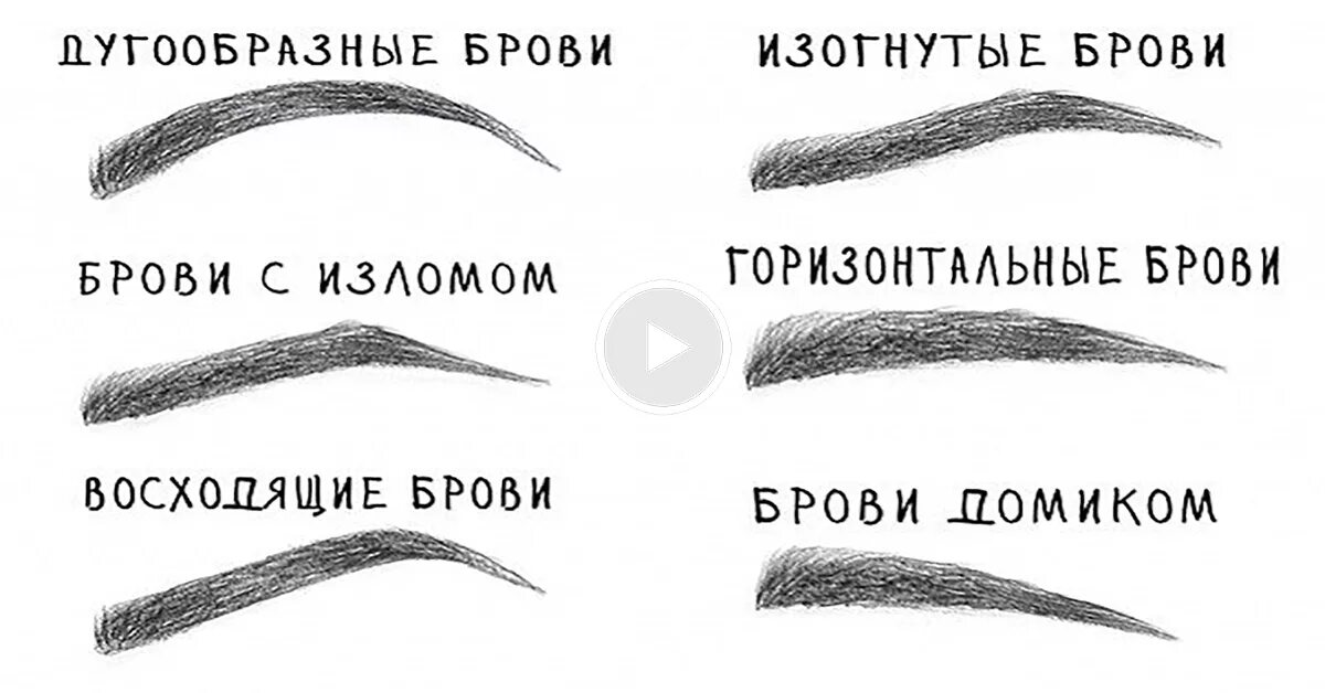 Строение брови. Тип волос бровей. Тип волос бровей. Структура волосков бровей. Прямая форма бровей.