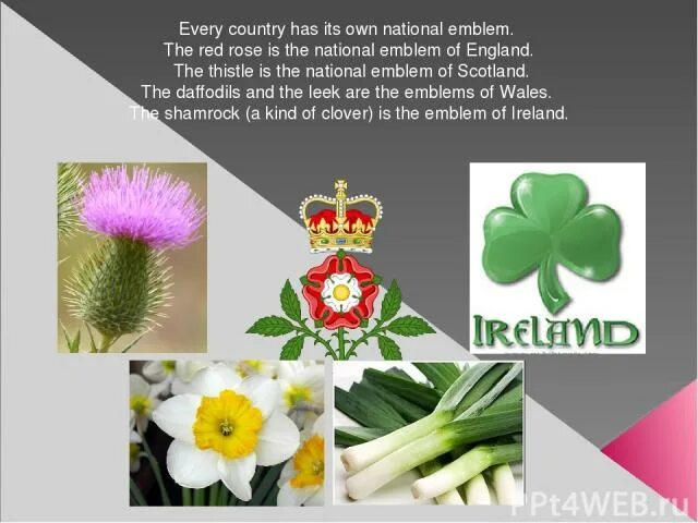 Every country has its own customs