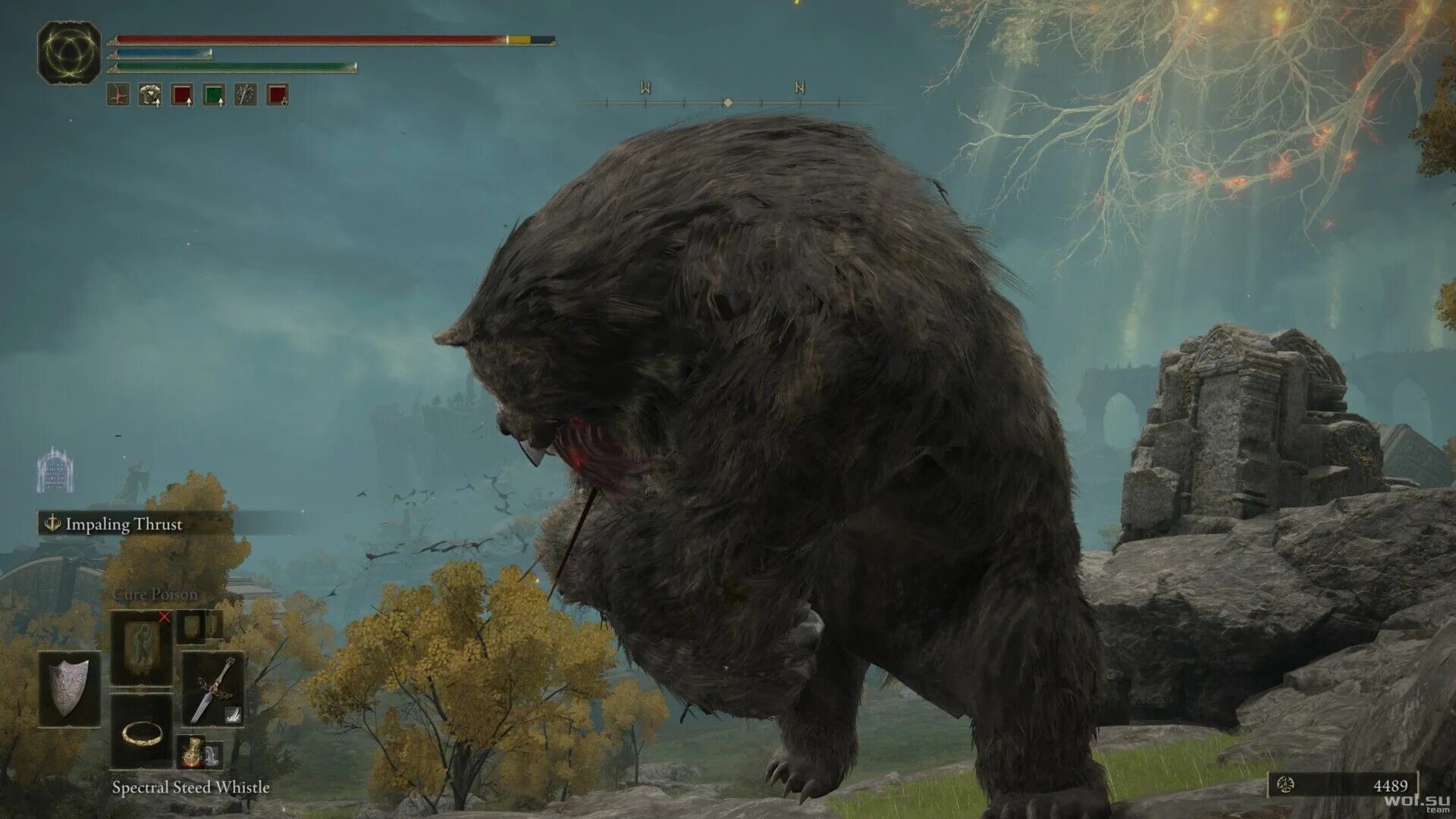 Runebear. Elden ring огромный медведь. Elden borne. Рунический медведь elden ring. Медведь рун elden ring.