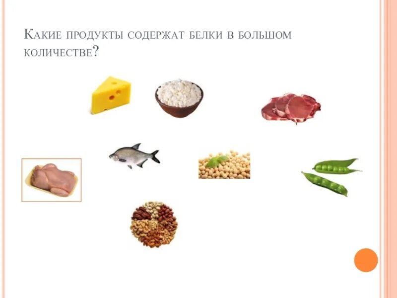 Продукты в которых содержится много белка. Продукты содержащие белок в большом количестве. Белки в продуктах питания. В каких продуктах содержатся белки.