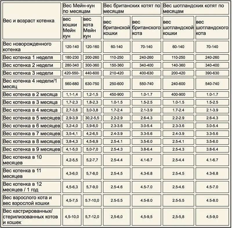 Вес обычного котенка по месяцам таблица норма. Вес кота в 5 месяцев норма таблица. Вес котенка в 2 месяца норма таблица. Норма веса котенка по месяцам. Вес котят по месяцам мейн