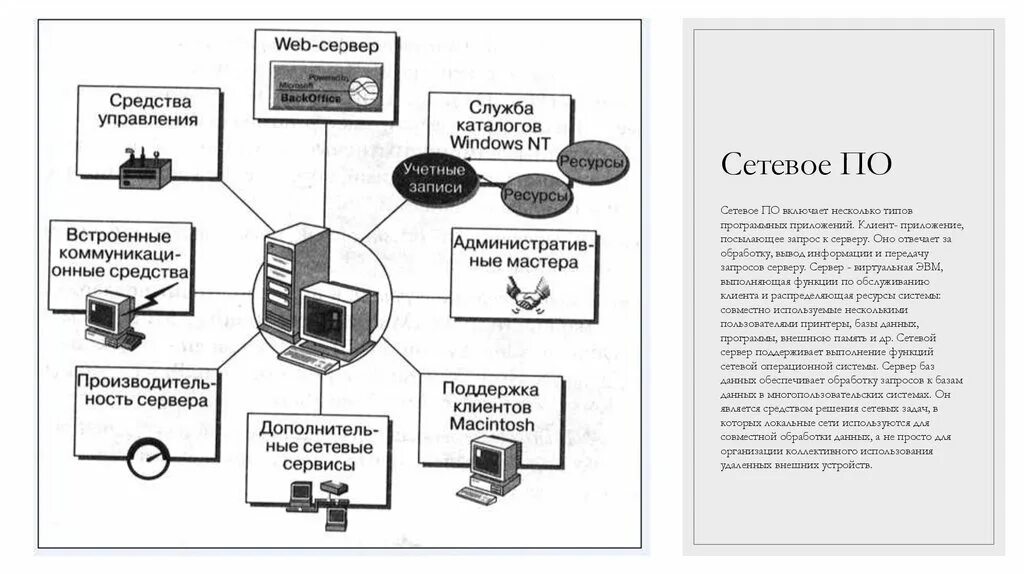 Технически информационно и программно. Сетевое программное обеспечение схема. Состав сетевого программного обеспечения. Программное и аппаратное обеспечение компьютерных сетей схема. Состав сетевого программного обеспечения компьютерных сетей.