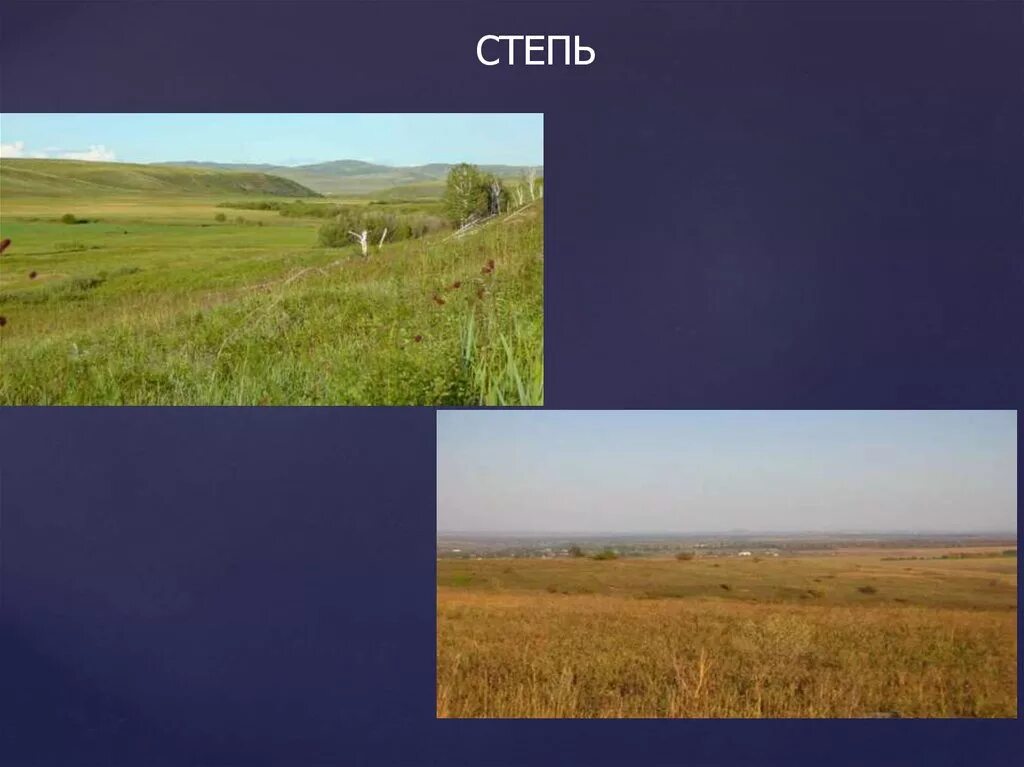 Степь территория. Природные зоны России степь. Площадь степи в России. Внутренние воды степи
