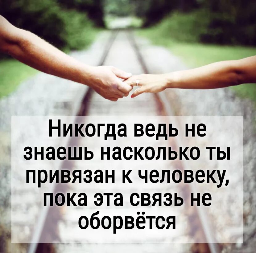 Никогда ведь не знаешь насколько привязан к человеку. Никогда не знаешь насколько привязан к человеку пока. Фразы про привязанность. Афоризмы про привязанность.