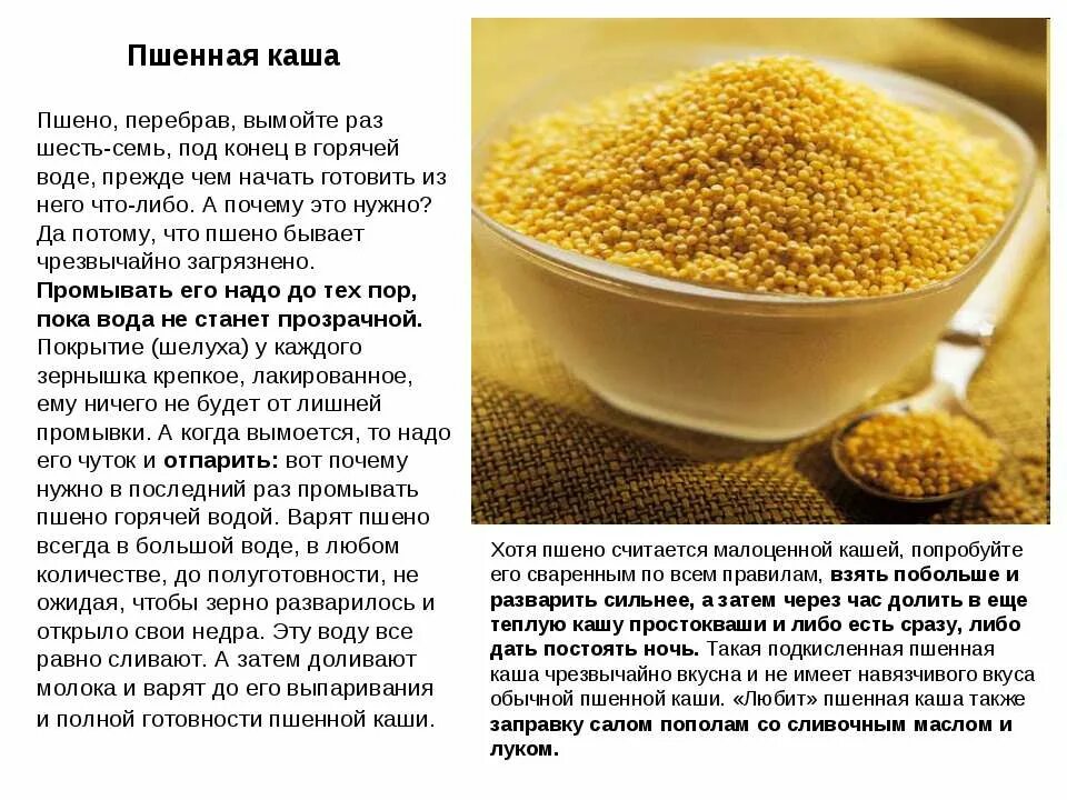 Рассыпчатая пшенная каша пропорция. Пропорции пшенки и воды для рассыпчатой каши. Как варить пшено. КВЕ варить пшенную кашу.