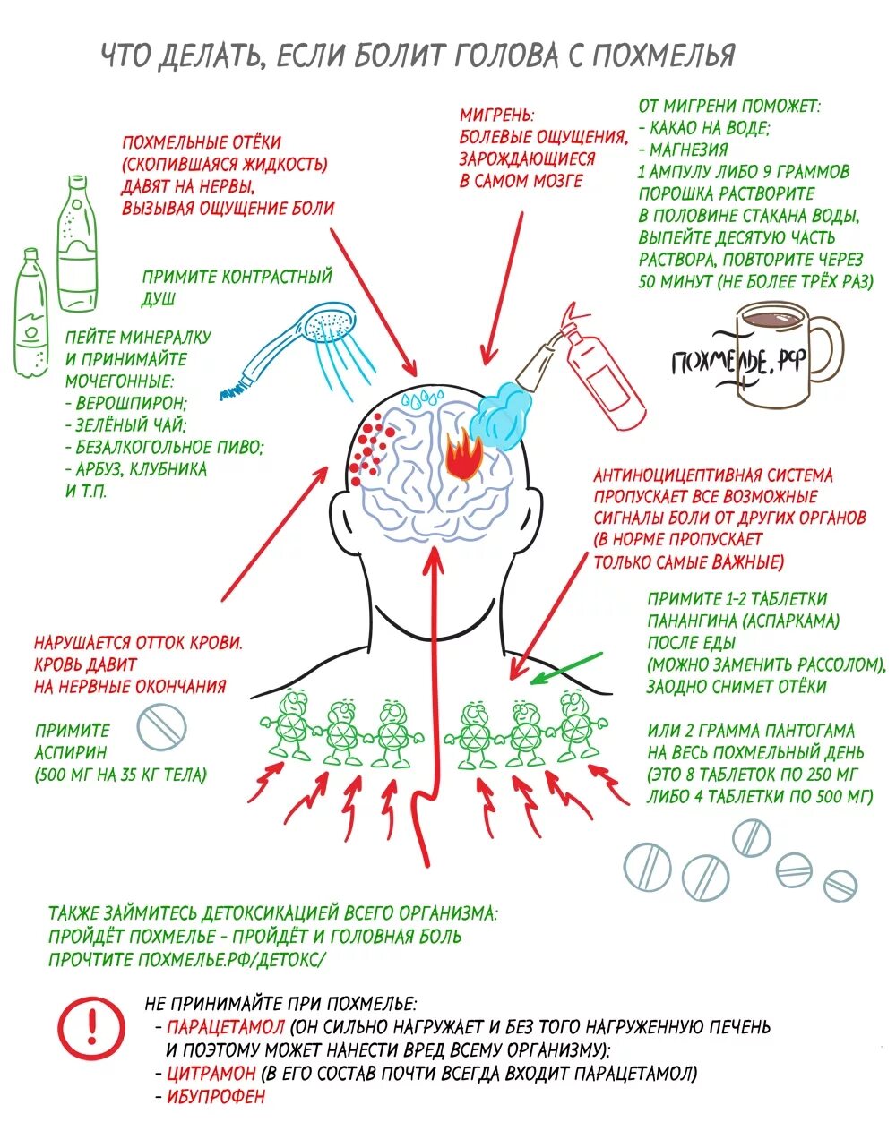 Голова болит какой таблетка надо. Голова болит с похмелья. Сколько проходит похмелье. Болит голова после похмелья. Снятие похмельного синдрома.
