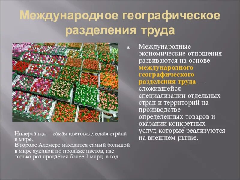 Определение международного географического разделения труда. Международное географическое разделение труда. международное географическое разделение труда это кратко. роль международного географического разделения труда. что такое международное разделение труда в географии.
