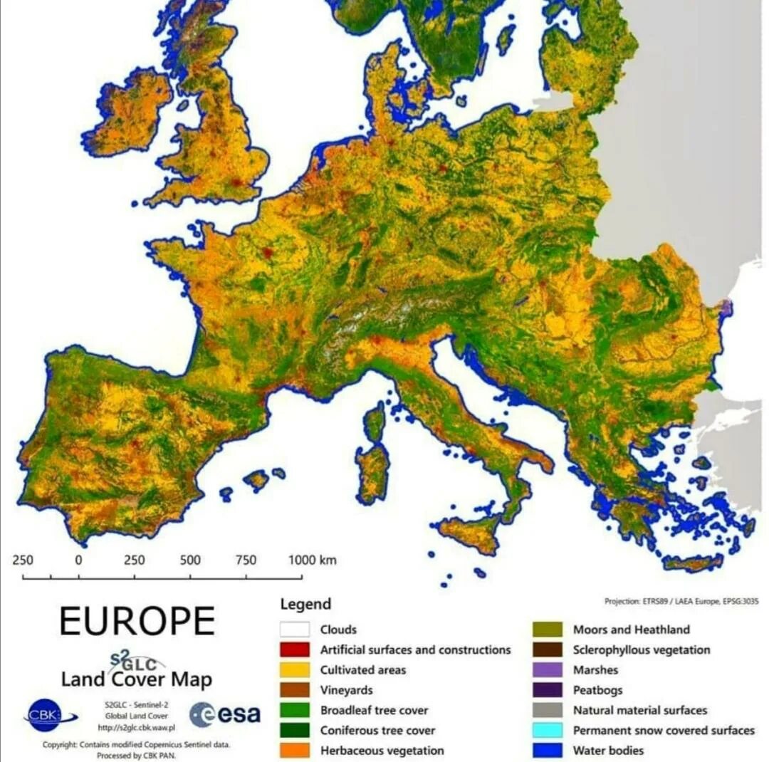 Растительный Покров Европы. Europe Land. Европа Континент. Use Map. Russia is the land of