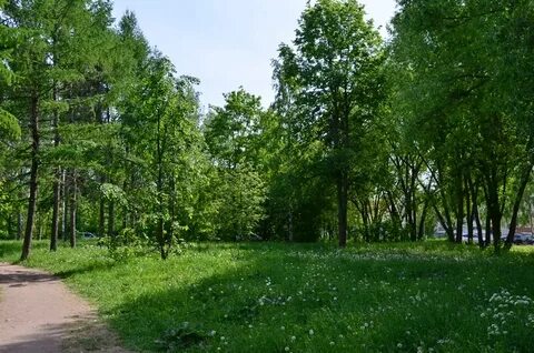 Парк гагарина тюмень