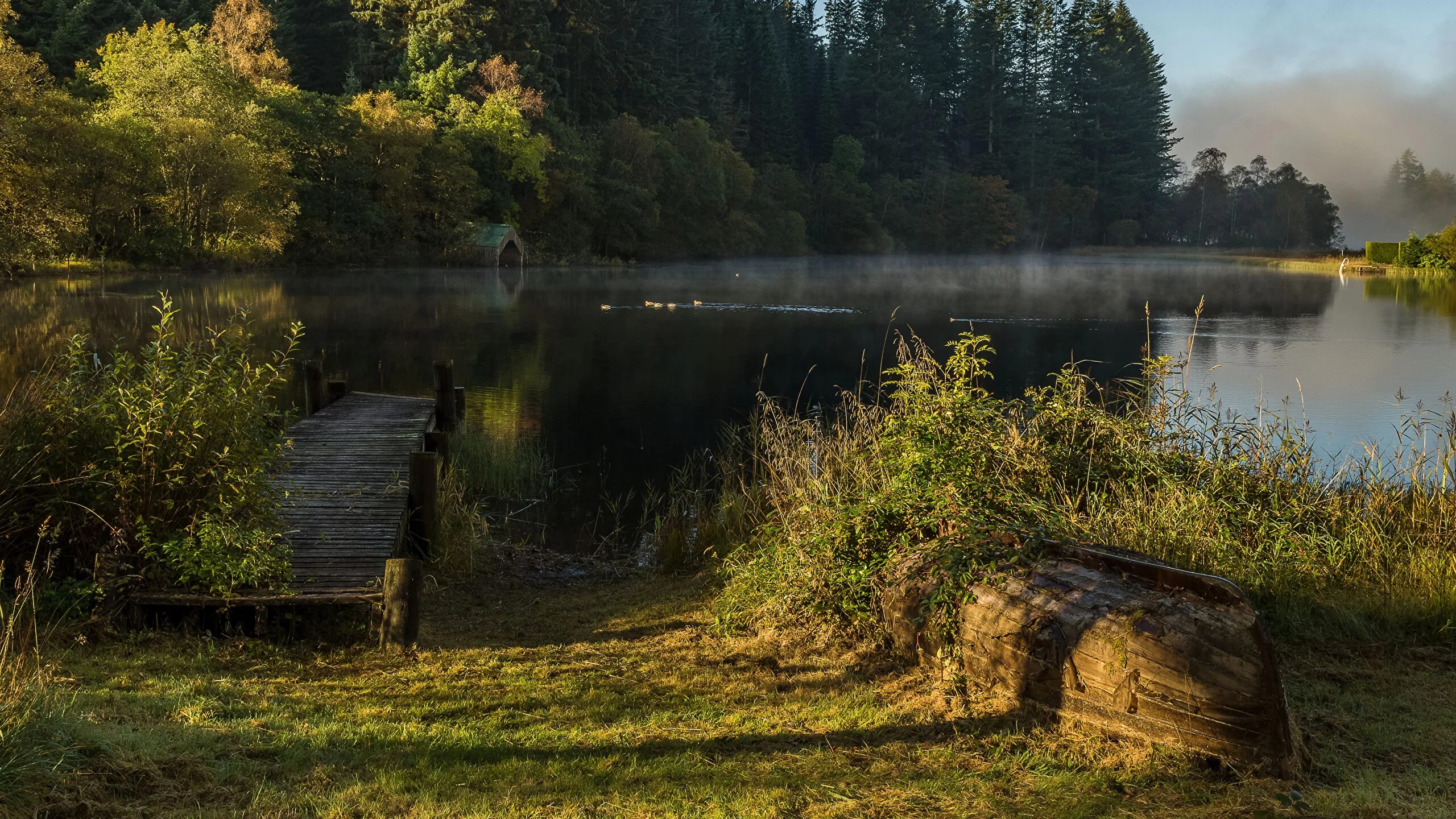 Пейзаж с рекой. Атмосферные пруды. Пейзаж. Пруд дунай бирюлево. Туманный пейзаж.