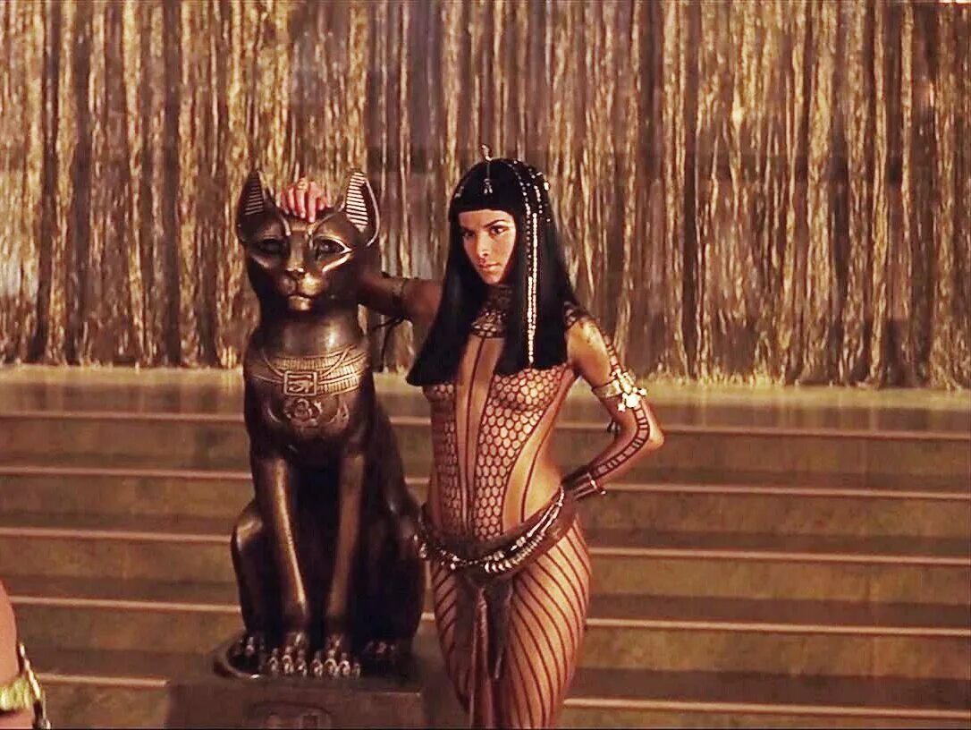 Cat cleopatra