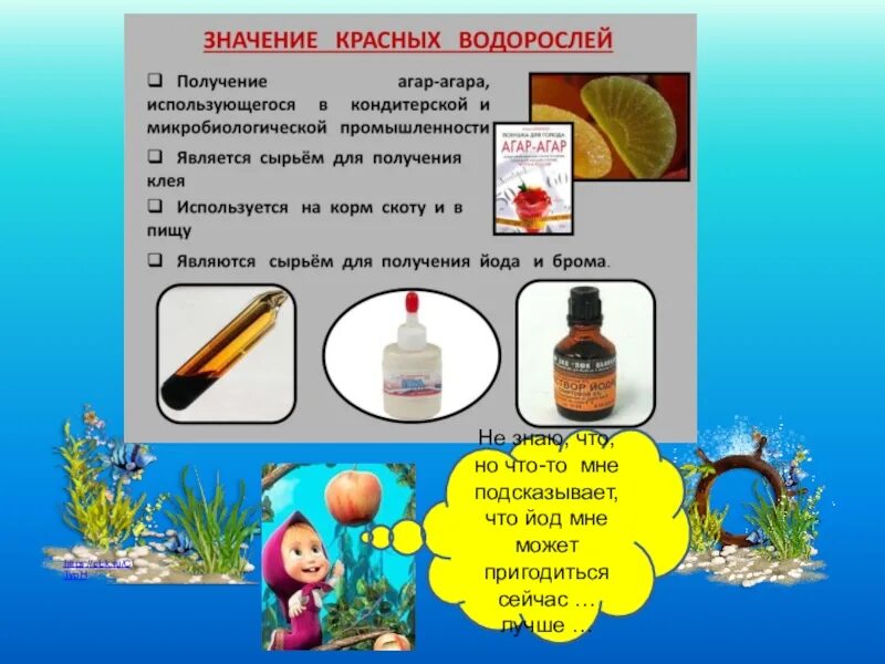 Йод в водорослях. Получение йода. Из каких водорослей получают йод. Получение йода в промышленности.