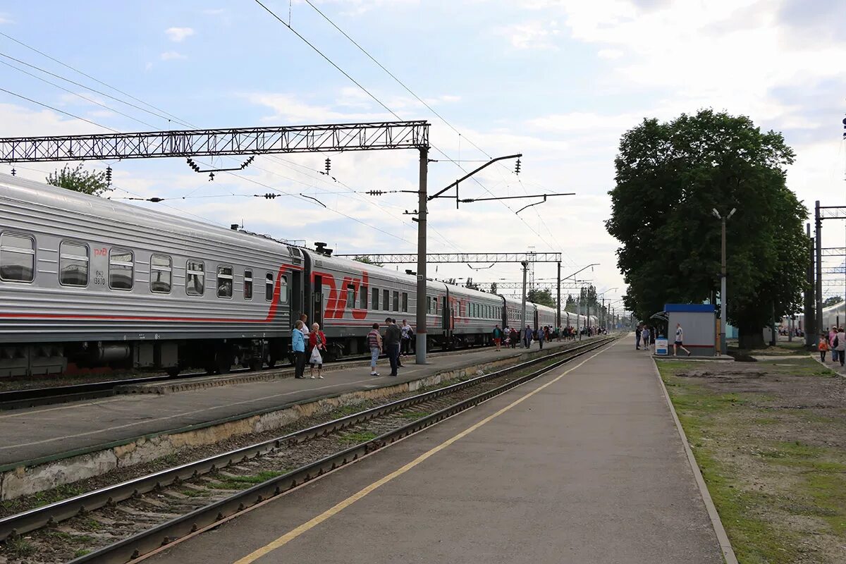 поезда грязи воронежские волгоград