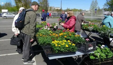 Анатолия гессе весной когда откроются потоки