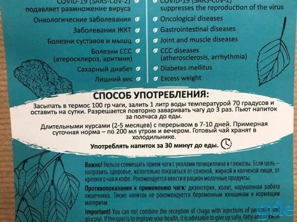 Как правильно пить чагу