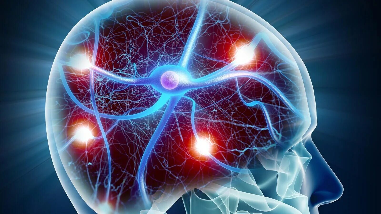 Влияние стресса на организм человека схема. Адреналин мозг. Адреналин гормон стресса. Норадреналин гормон. Эпинефрин гормон.