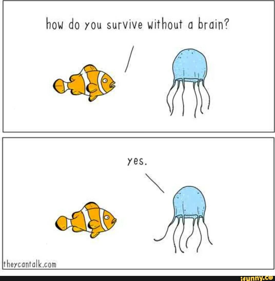 Сколько может прожить мозг. Мозг прикол. Мемы про медуз. Как жить без мозгов.