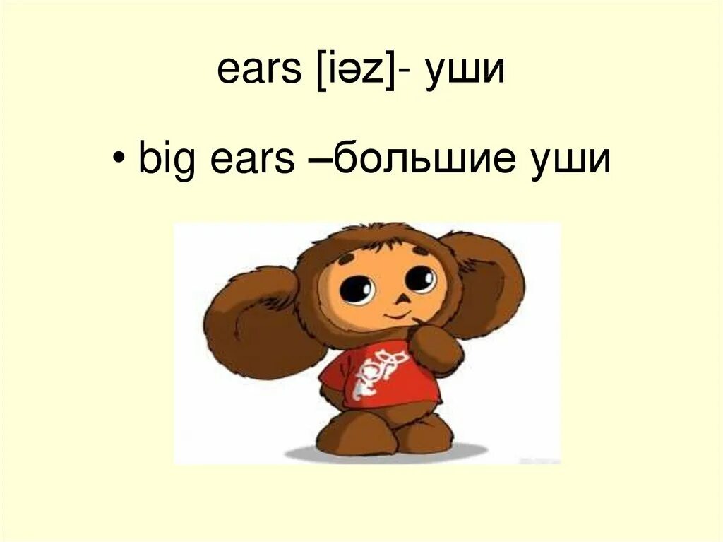 Большие уши по английскому. У кого большие уши по английски. Уши на английском языке. Маленькие уши по английскому. Уши по английски слушать