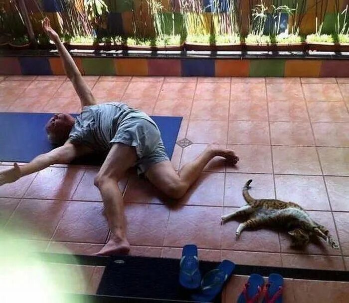 Приколы йог. Смешные йоги. йога приколы. занятие йогой прикол. прикольный йог.