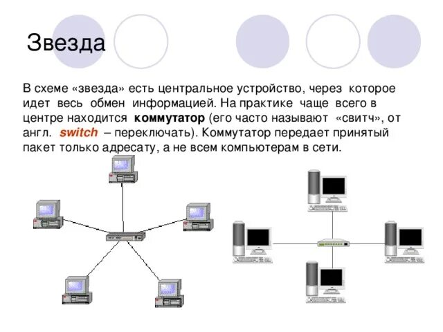 Одноранговая локальная сеть с топологией звезда схема. Одноранговая локальная сеть с топологией линейная шина схема. Одноранговую локальную сеть с топологией звезда. Топология линейная шина схема. Оборудования локальную сеть топология звезда оборудование.