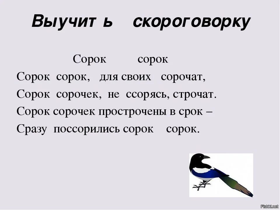 Какие слова написаны в скороговорке. Сорок сорок скороговорка. Скороговорки про сорок. Скороговорка про сороку. Выучить скороговорку.