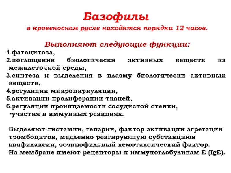 Базофилы повышены у мужчины причины. Базофилы строение и функции. Функции базофилов в крови. Строение базофилов крови. Роль базофилов в воспалительном процессе.