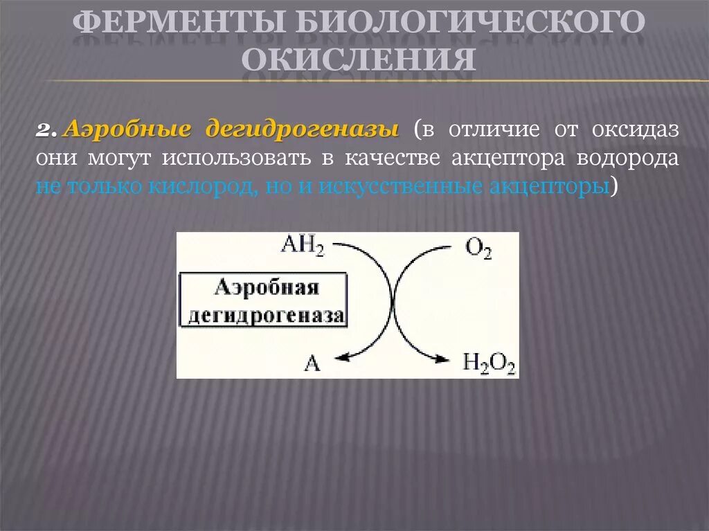 Окисление ферментов