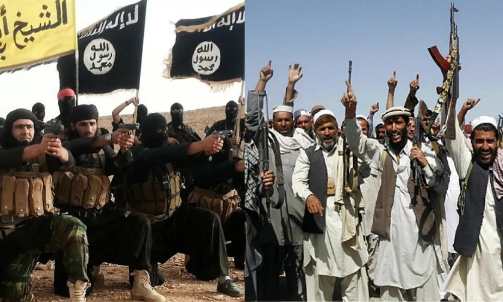Игил объявил войну. ИГИЛ Аль-Каида Талибан. Флаг Афганистана Taliban. Аль Каида Талибан Исламское государство. Флаг талибы Афганистан талибы.