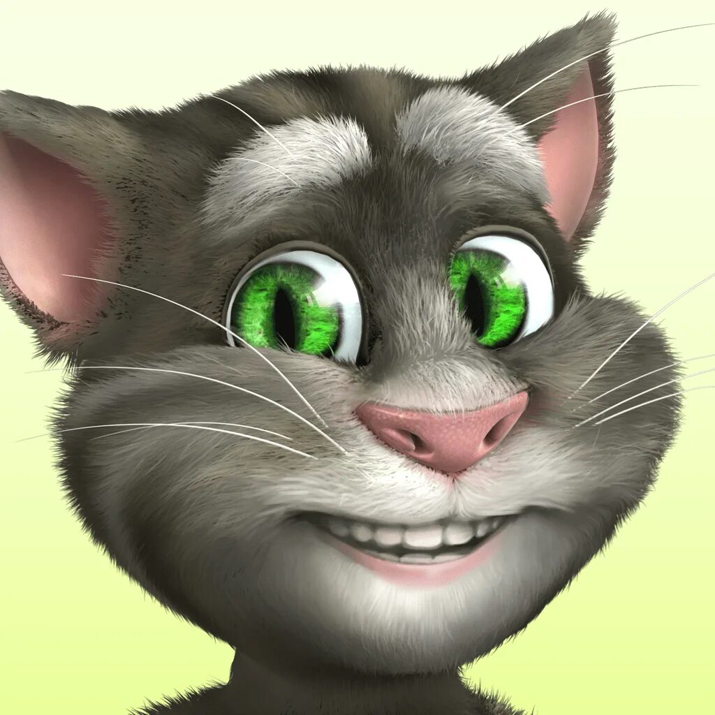 Talking Tom Cat. Talking Tom Cat 2. Talking Tom 2010. Talking Tom Cat 2010.