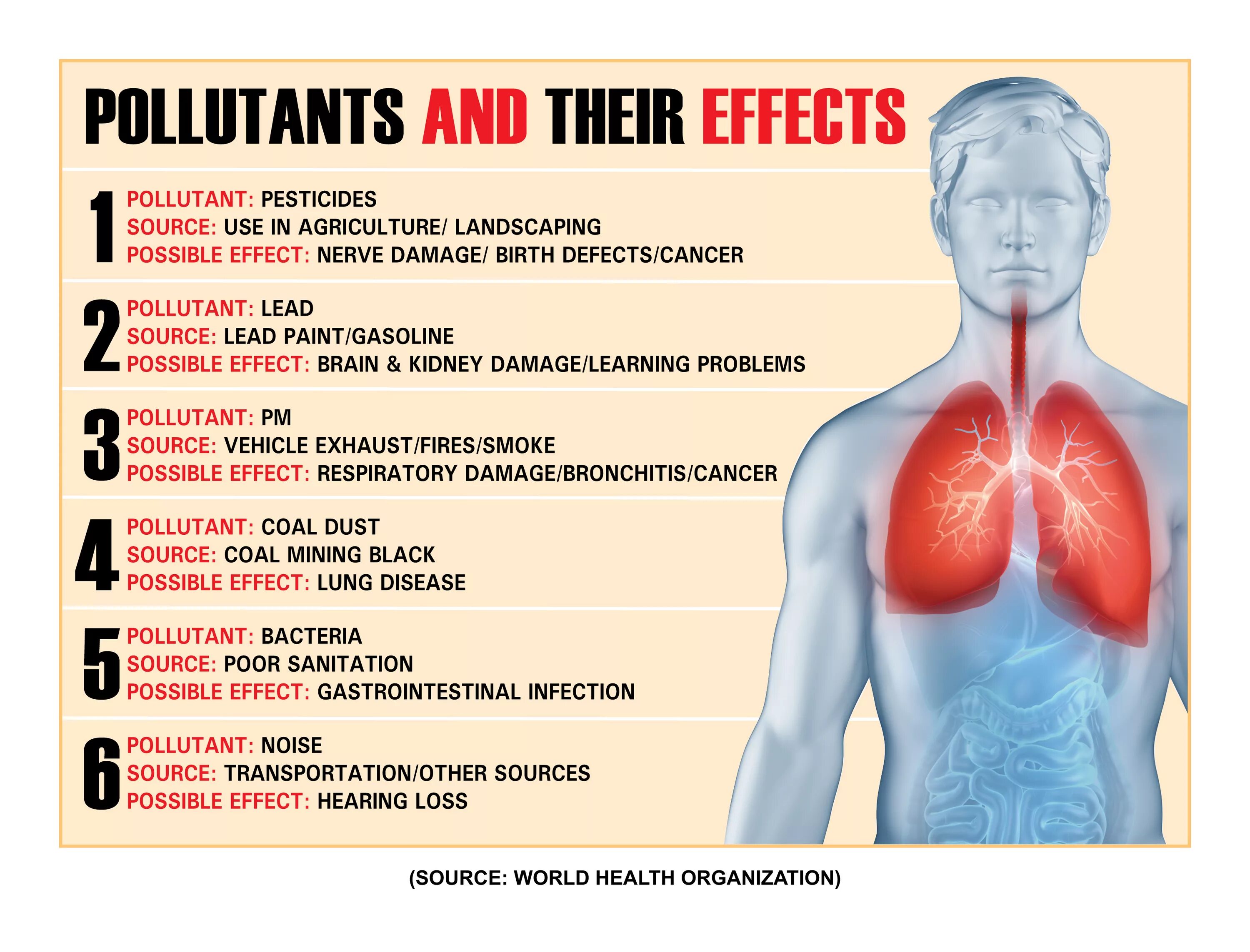 Буллинг глагол. Underweight side effects. Panic attack symptoms. Effects of bullying. Possible effects.