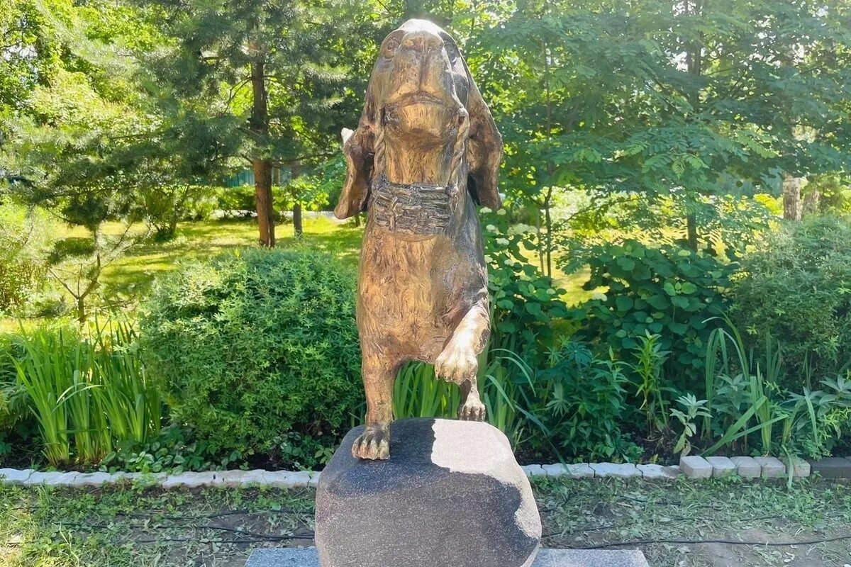 Пёс трезорка ленинград памятник. Блокадный пёс трезор в парголово. Собака пастух. Блокадный пёс трезор. Пес трезор в блокадном ленинграде.