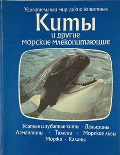 Т к кит