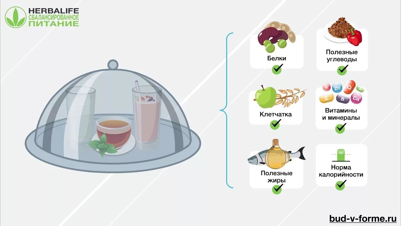 Белки жиры углеводы витамины микроэлементы