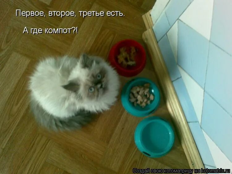 Задачи для маминой школы. Сам первый сам второй сам третий. Сам первый сам второй сам третий. Никколо макиавелли мудрые цитаты. Первое второе и компот прикол.