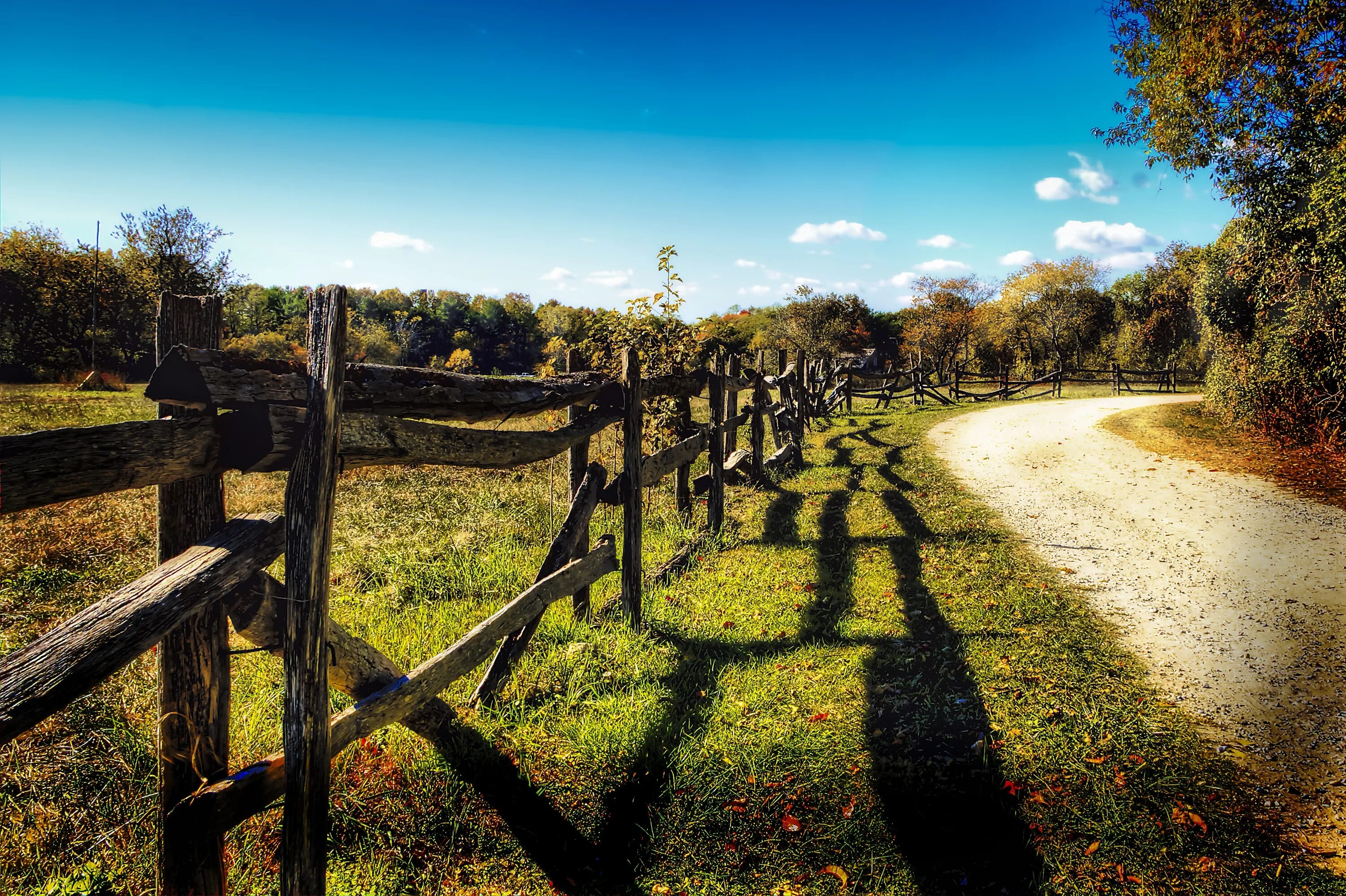 Old field
