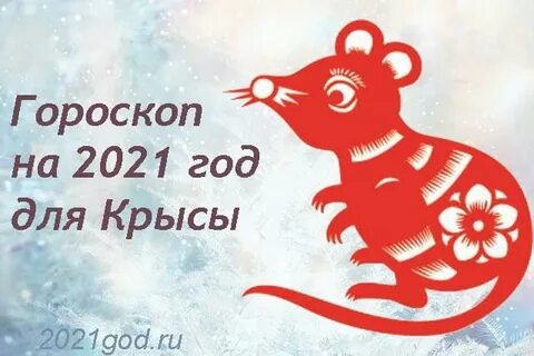 Гороскоп на 2025 год крыса