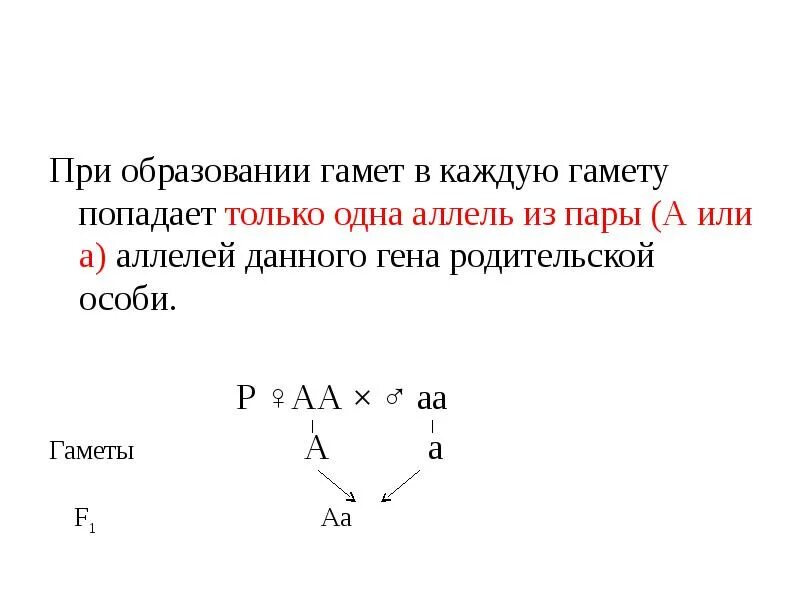 Независимое наследование признаков сколько типов гамет. Закономерности образования гамет.. При образовании гамет в каждую из них попадает пара аллельных генов. При образовании гамет в каждую из них попадает только. Аллели в гаметах.